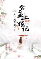 太子妃升职记2:公主上嫁记（全集）