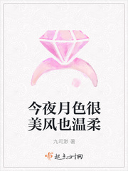 今晚月色很美风也温柔的下一句