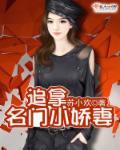 名门追妻攻略