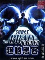 超脑黑客电视剧
