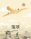 笼罩english