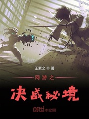 网游之决胜巅峰小说